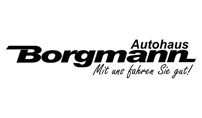 Borgmann GmbH 